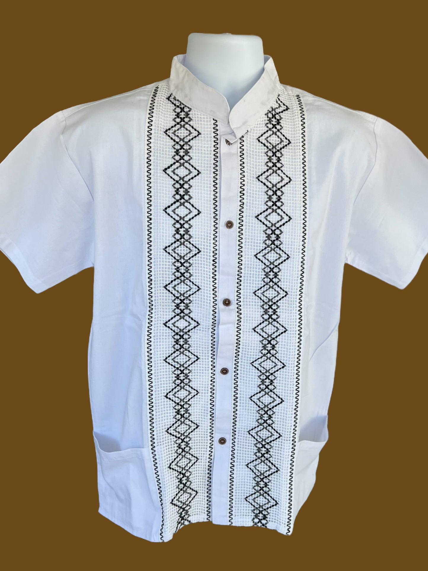 CAMISAS CLÁSICAS MODERNAS